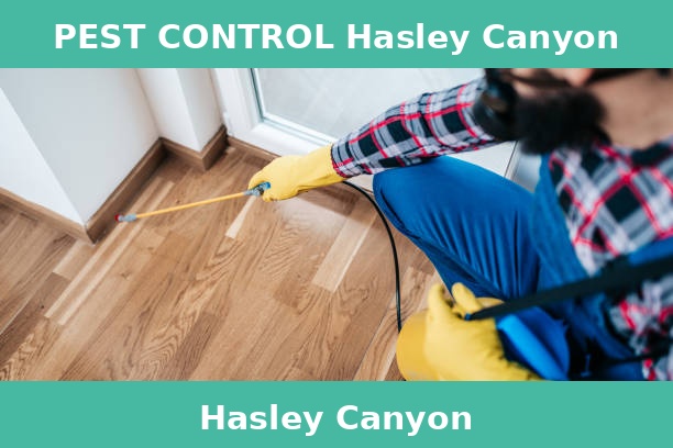 PEST CONTROL Hasley Canyon
